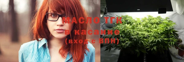 дмт Инсар