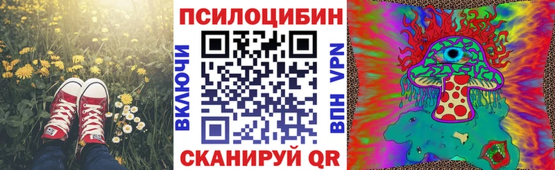 Купить  Аша  Псилоцибиновые грибы Psilocybe 